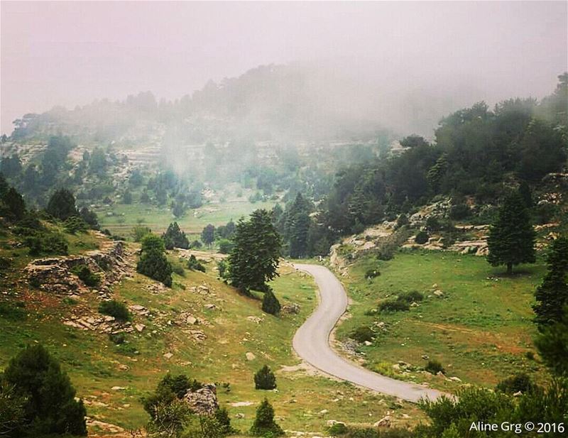 Road to Heaven.. ammou3a  hiking  adventure  fog  mountain  earth  planet... (Ammou3a - Akkar)