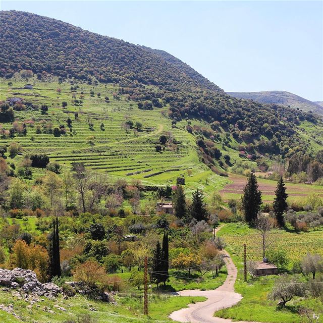 Road to heaven. livelovenabatiyeh livelovejnoub nature naturephotography... (Kfarseer)