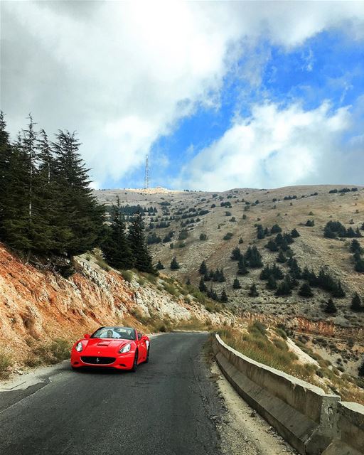 • Road to Paradise • ♥️ ferrari  car  wedding  moment  cedar  road ... (Al Shouf Cedar Nature Reserve)