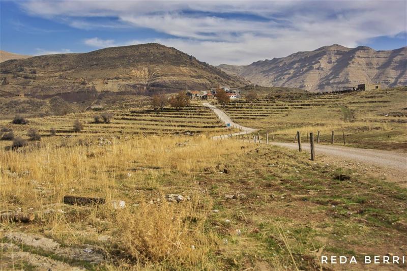 Road to Peace whatsuplebanon  livelovelebanon  lebanon_pictures ... (Arz Tannoûrîne)