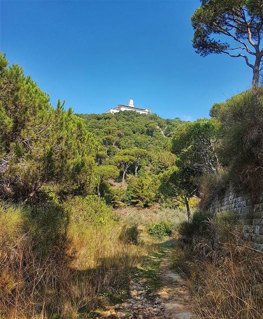 Road to redemption  convent  monastery  mountain  marchaaya  landscape ... (Mar Chaaya Broumana)