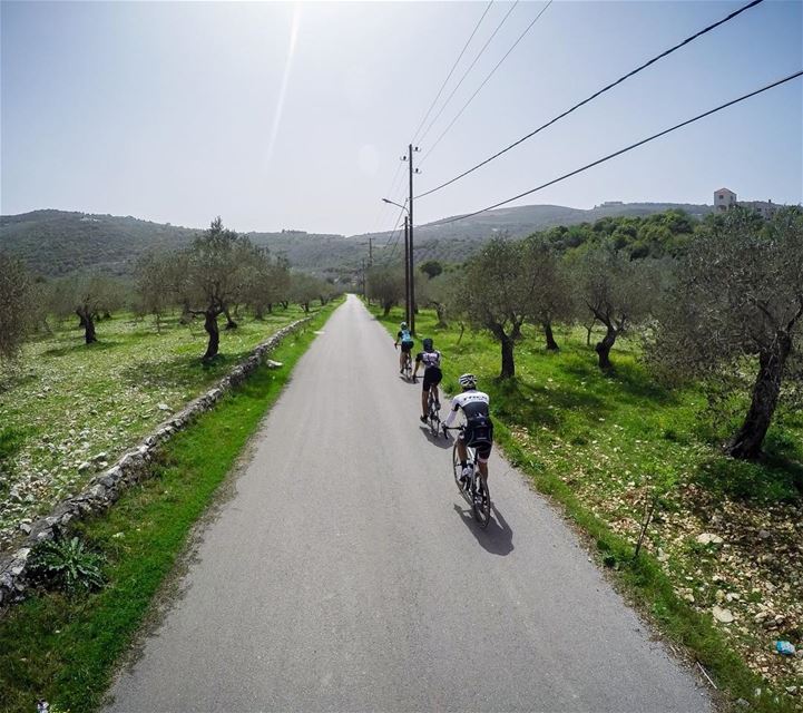 Road to Wonderland 🚴🏻🍃  earthpix  earthofficial  exklusive_shot ... (Aïn Kfâa, Mont-Liban, Lebanon)