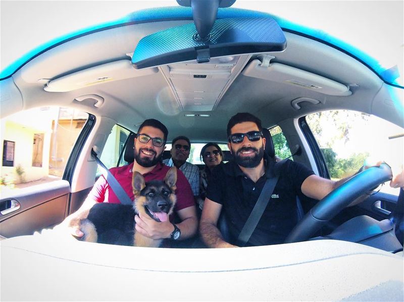  Road trip 🚙  fam 👨‍👩‍👦‍👦🐶🇱🇧