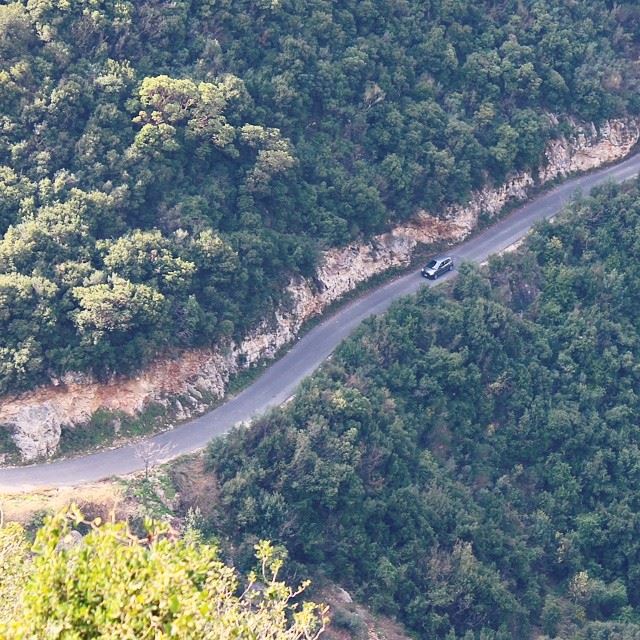  road  valley  trees  lebanon  lebanese  car  colorful  instagramhub ...