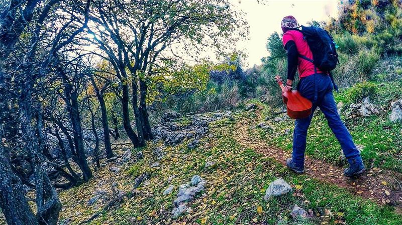 Roads less traveled cause inner peace !  saytrees  nature  trails  hike ...