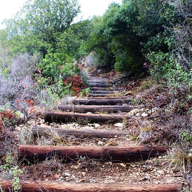  roadtoheaven  lebanon_lovers  reserve  lebanon  lebanonweekly ... (Bentael Nature Reserve)