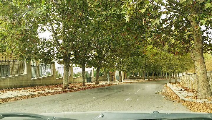 roadtrips roadtrip streetshot streetstyle timelapse autumn🍁 autumn trees... (Sawfar, Mont-Liban, Lebanon)