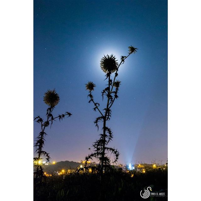 Rocking the night!!!  moonlight  nightphoto  nightphotography  rockmusic ... (Thoum/batroun-Lebanon)