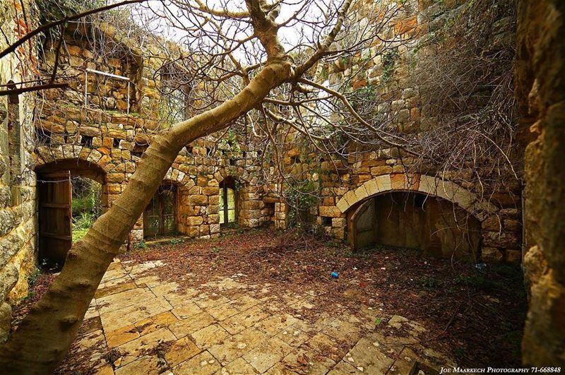 Rocks in my path? I keep them all. With them I shall build my castle! ...