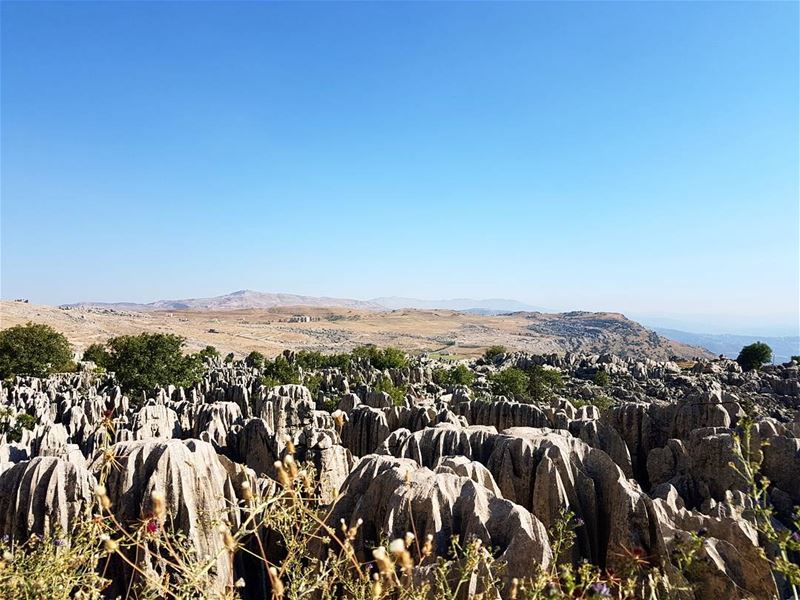 Rocky... (Kasrouane)