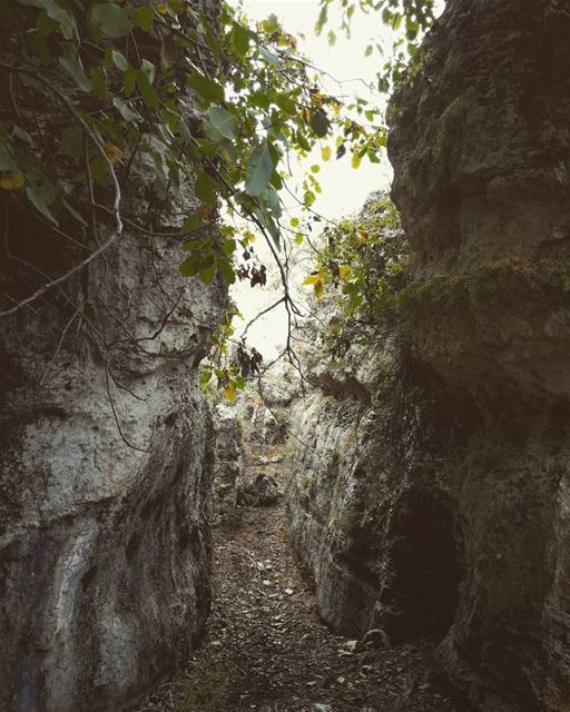 Rocky ....... travelawesome  exploretheglobe  photographer ... (`Akkar, Liban-Nord, Lebanon)