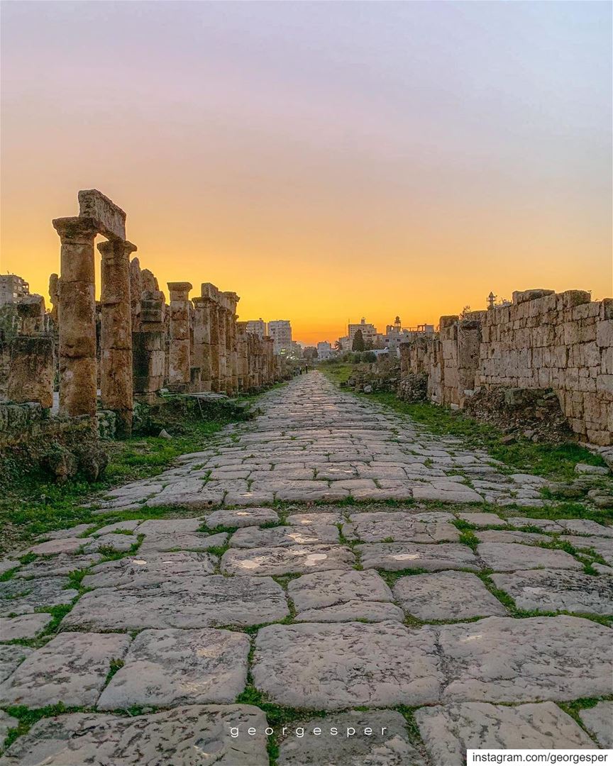 Roman Hippodrome • Tyre Lebanon 🇱🇧..... livelovebeirut ... (Sour Tyre Lebanon.)