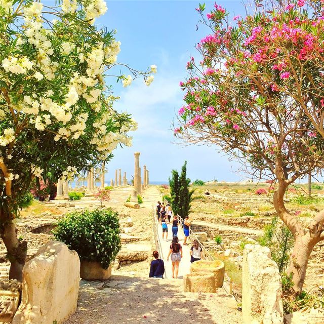 Roman ruins in Tyre