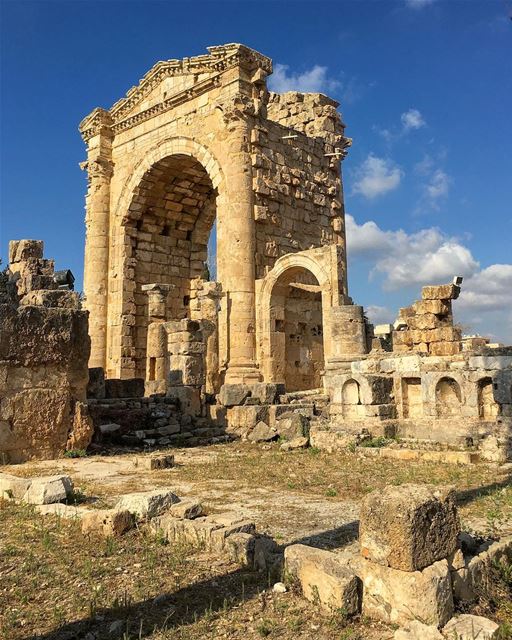 Roman Ruins of Tyre a.k.a Sour   walk  vintage  photography  arch ... (Tyre, Lebanon)