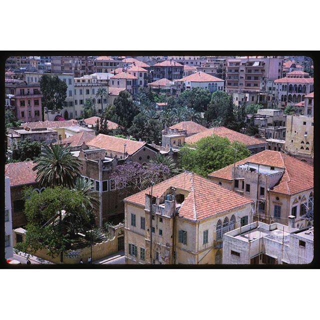 Roofs Seen from top of Starco Building Beirut 1965 .