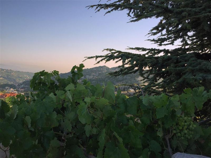 Rooftop  view  mountain  mountainslovers  tree  landscape ...