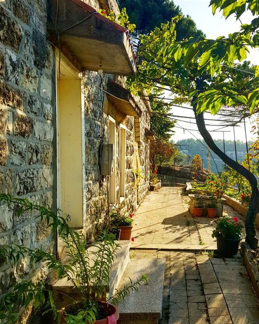 Roots 💚 ... Lebanon  lebanonhouses  architecture  beiteddine  Chouf ...