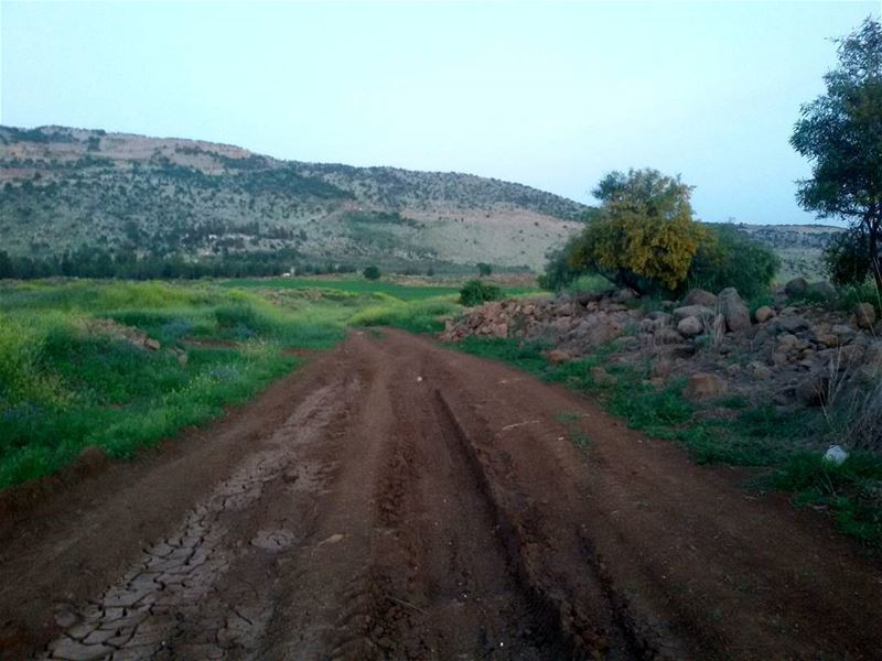 Rough Road .. beautiful view  tb  road  roadtrip  south  lebanon  green ... (Marjayoûn, Al Janub, Lebanon)