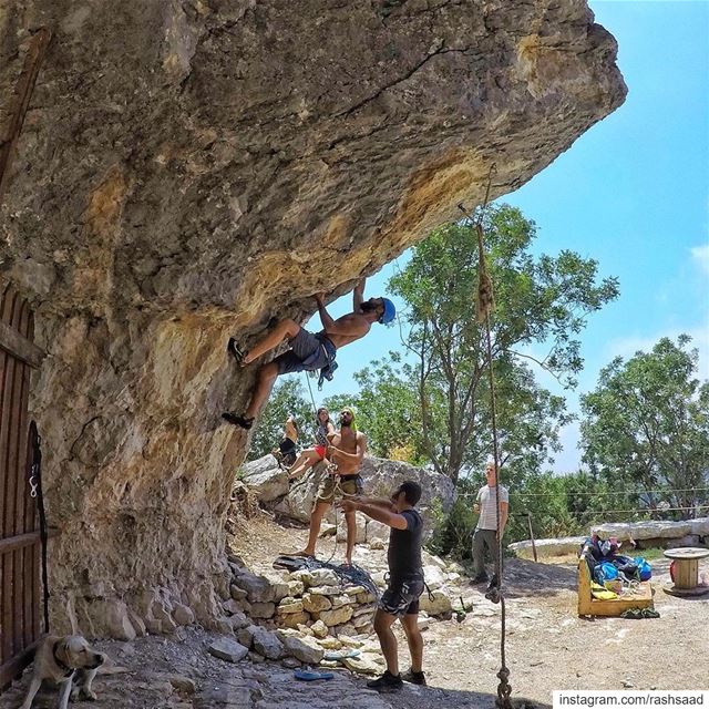 Route setter, spotter, belayer, climber, and chiller 🐶🧗‍♂️In order from... (Feitroun, Mont-Liban, Lebanon)