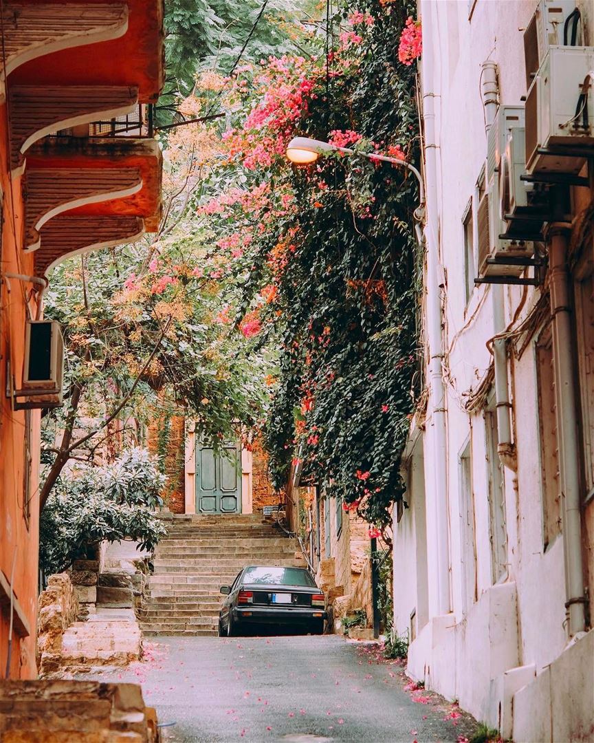 Rua pitoresca em Gemmayze, antigo bairro de Beirute, fotografada por Yulia... (Gemmayze)