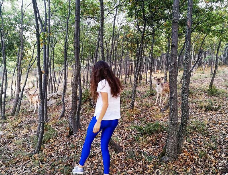 Run, deer, run! 🏃🏻🌲⠀⠀⠀⠀⠀⠀⠀⠀⠀⠀⠀⠀⠀⠀⠀⠀⠀⠀⠀⠀⠀⠀⠀⠀⠀⠀⠀⠀⠀⠀⠀⠀⠀⠀⠀⠀⠀⠀⠀⠀⠀⠀⠀⠀⠀⠀⠀⠀⠀⠀⠀