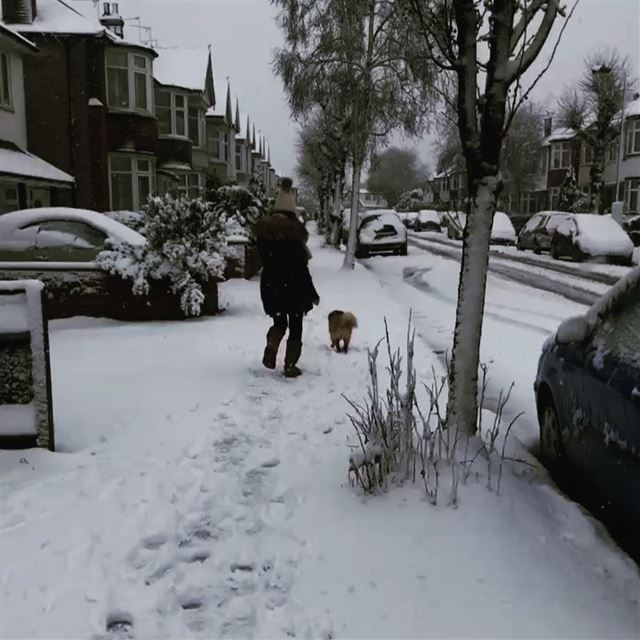 Running and enjoying the snow with my Rocky❄️☃️😂⛄️ art oilpainting...