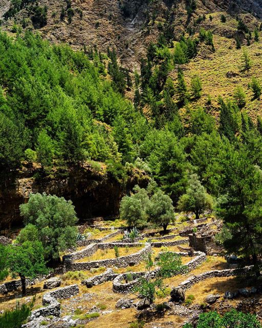 Ruínas de antigos eremitérios no Vale Sagrado. Os eremitérios são lugares... (Kadisha Valley)