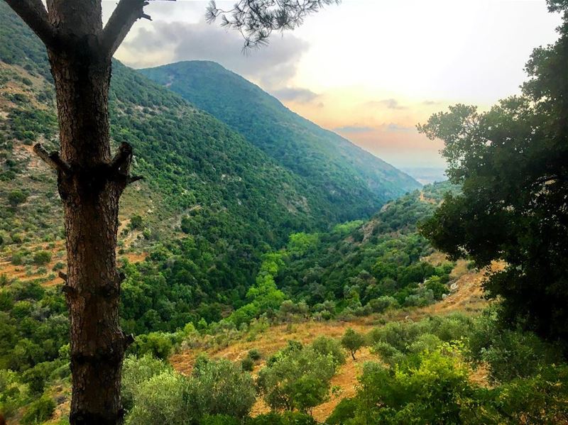 s o u t h e r n .. l o v e ❤️ lebanon  lebanon_hdr  jarjouh  arabsalim ... (Jarjou`, Al Janub, Lebanon)