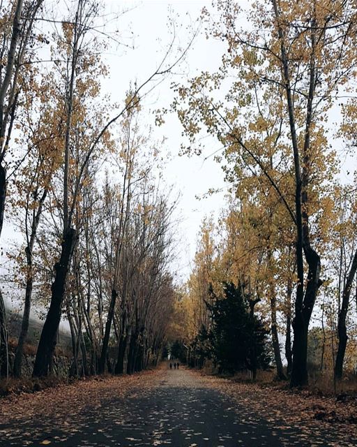 Sad  sunday 🍂 mood  melancolia....... sweetnovember  ... (Laklouk Village Vacances)