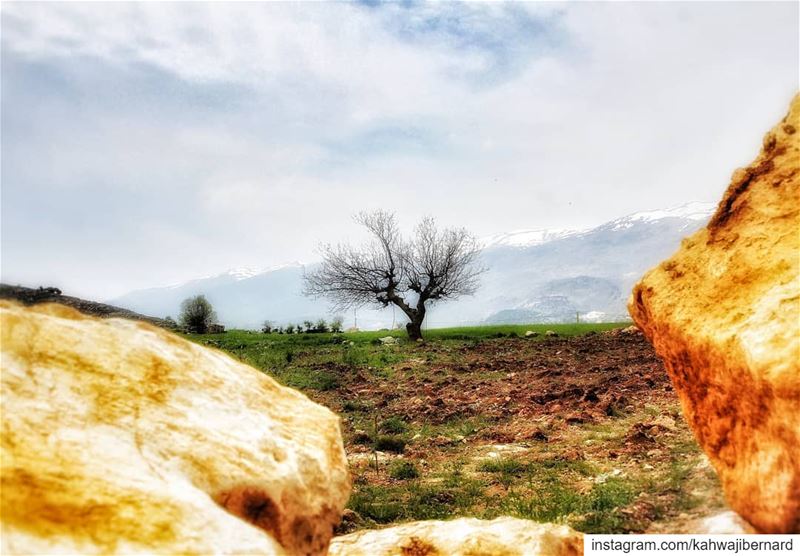 Saghbine lebanon hike  hikingculture  hiking  naturephotography ... (Saghbîne, Béqaa, Lebanon)