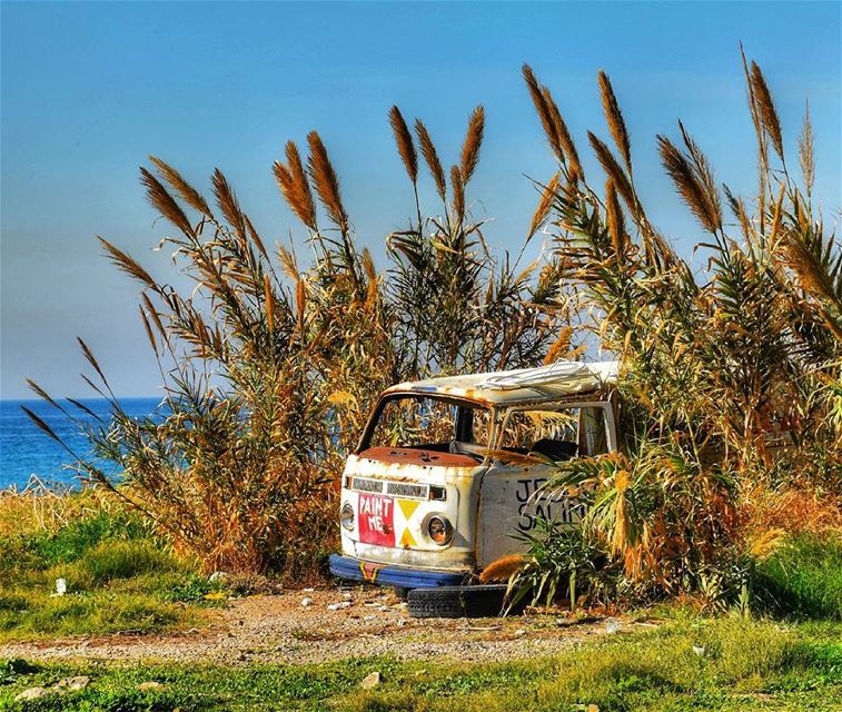 🚌 (Saïda, Al Janub, Lebanon)