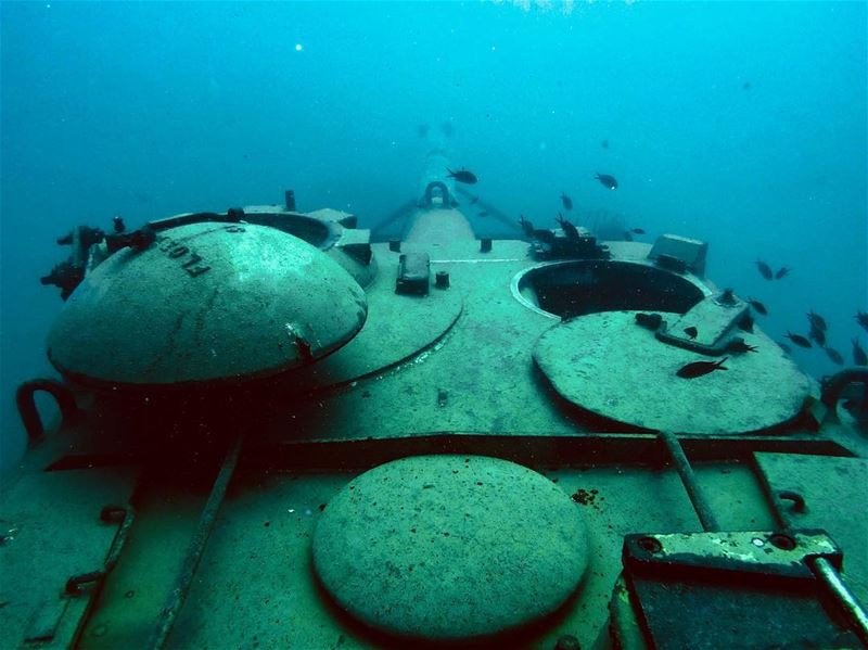  saida  lebanon🇱🇧  tank  tankunderwater  mediterranean  photography ...