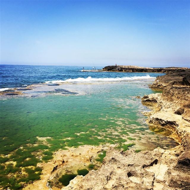  saida  love  lebanon  lebanonspotlights  picoftheday  tbt  tagsforlikes ... (Saïda, Al Janub, Lebanon)