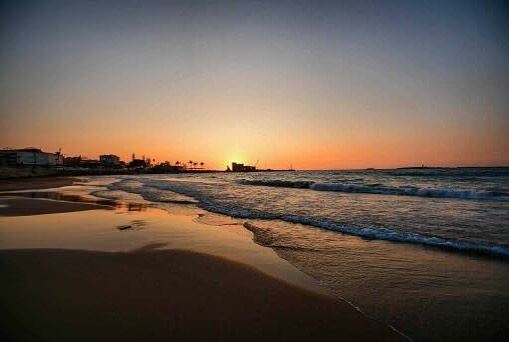  Saida NakibMarine lebanon lebanonfishing lebanoninapicture...