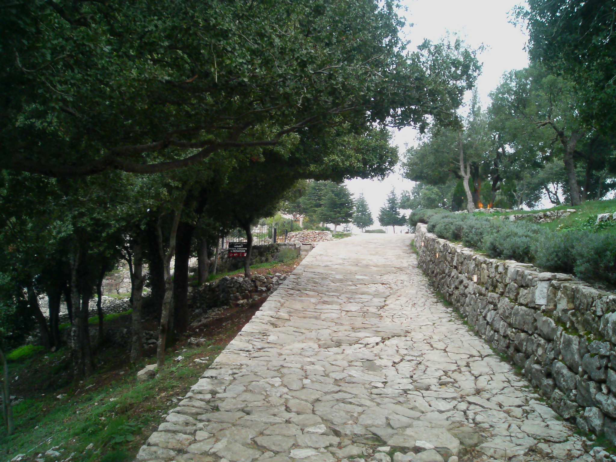 Saint Charbel Annaya December 2008