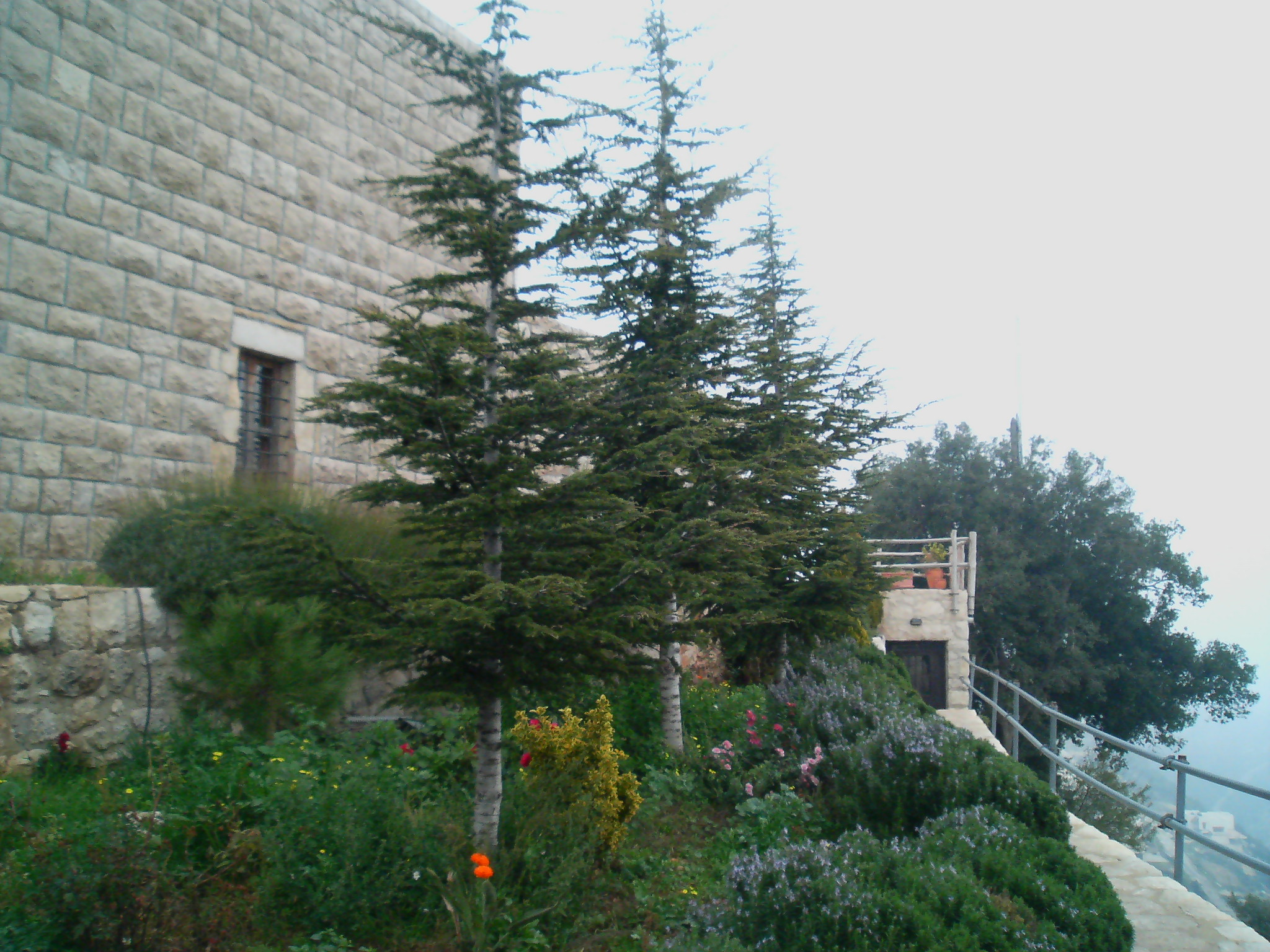 Saint Charbel Annaya December 2008