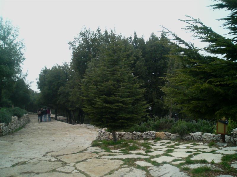 Saint Charbel Annaya December 2008
