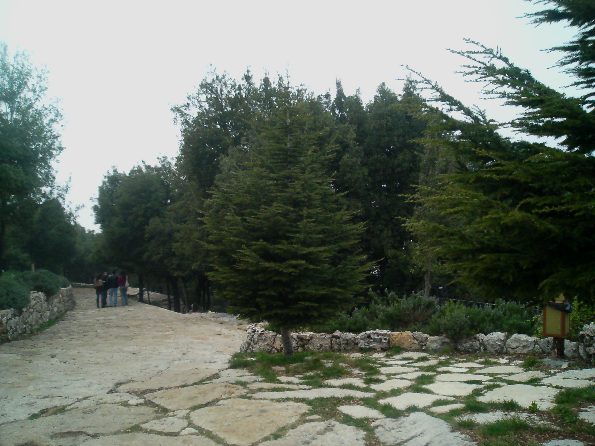 Saint Charbel Annaya December 2008