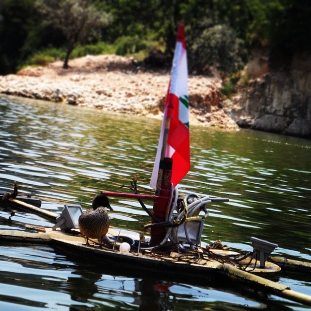 Salute to this flag  ilovelebanon whatsuplebanon  insta_lebanon ...