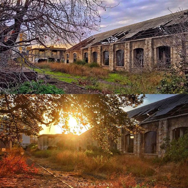 Same place, two different seasons! Still beautiful in every way 🍁❄️ ... (Tripoli, Lebanon)