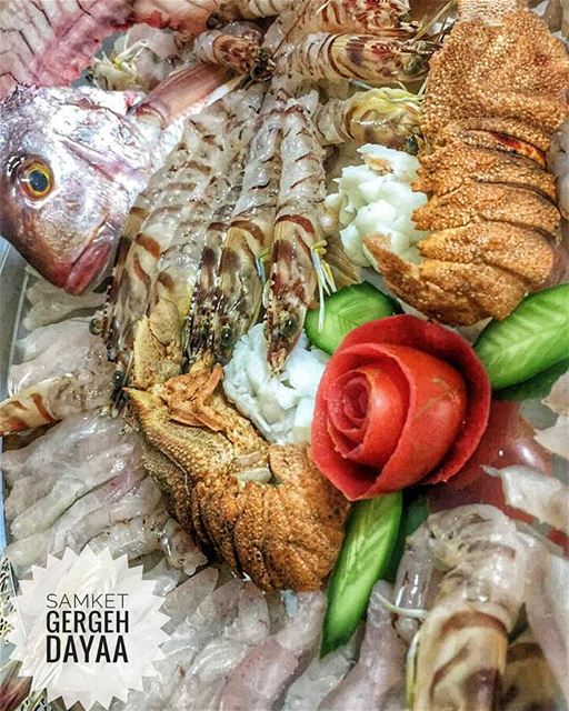 @samketgergedayaa  tahetelrih2017  ta7etelri72017  تحت_الريح_٢٠١٧Tahet...