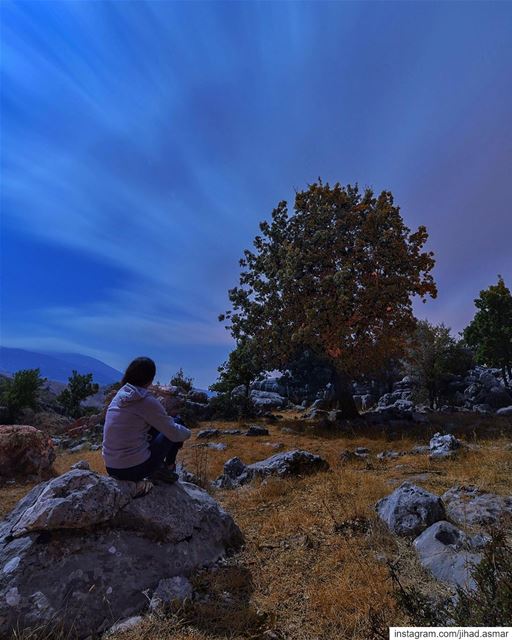 𝗧𝗵𝗲 𝗯𝗲𝗮𝘂𝘁𝘆 𝗼𝗳 𝘁𝗵𝗲 𝗡𝗶𝗴𝗵𝘁!!! @sandrabaho❤️... (Al Shouf Cedar Nature Reserve)