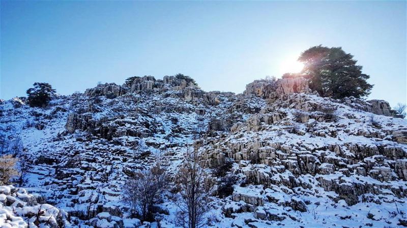  sanelebanon 🌲❄️🌲Photo by : 📷: @trainstationlebanon...