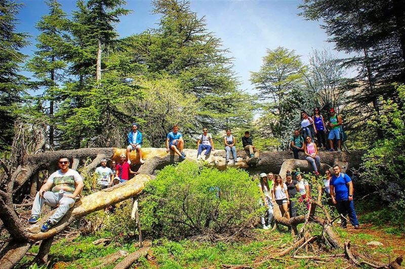 🌲🍃🌾🌻🌳🐿  sanesundays ... (Horsh Ehden Nature Reserve)