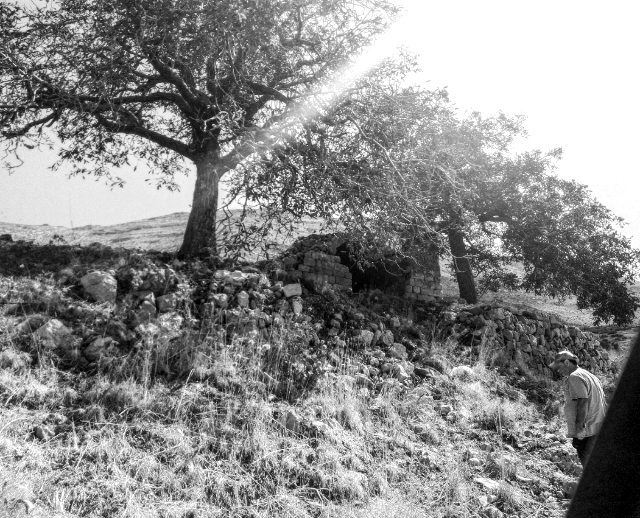 (Sannin, Mont-Liban, Lebanon)