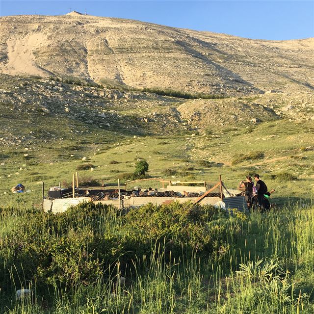 Sannine Foothill sannine  mountsannine  kesrouan  mountlebanon  goats ... (Sannin, Mont-Liban, Lebanon)