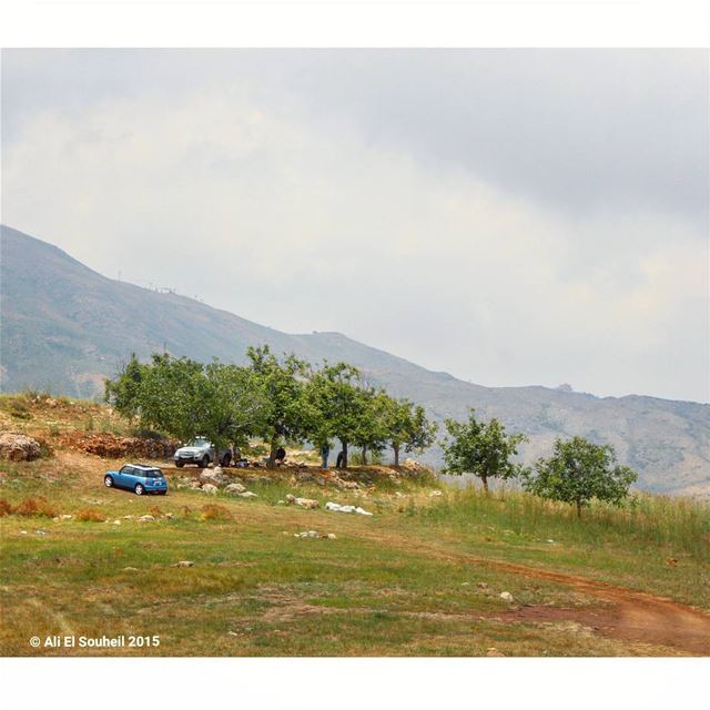  sannine  nature  trees  mountains  minicopper  sky  picnic  lebanon ...