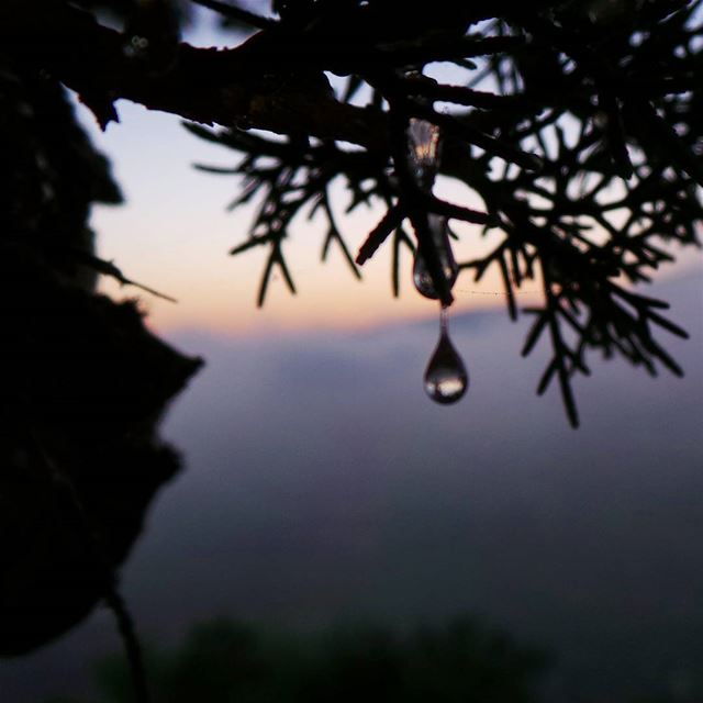  sap  nikontop_  nikonworld  bns_sky  bns_sunset  naturelovers ... (Beit Ed-Deen, Mont-Liban, Lebanon)