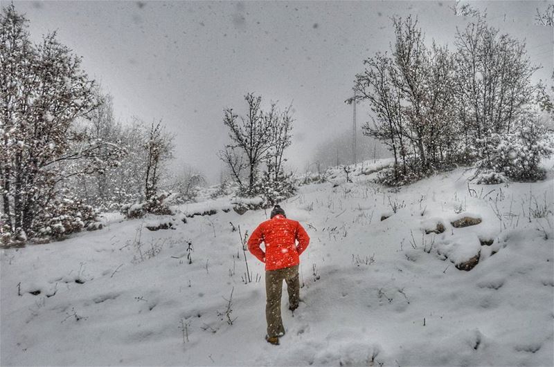 ❄❄ saturday snow hiking hike snowing mountains naturephotography nature... (Sanine Mountains)