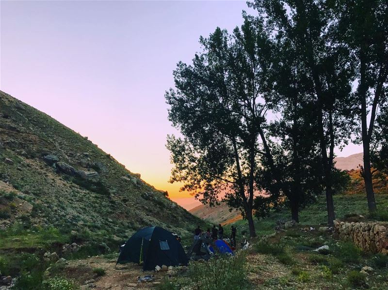 🏕 Saucisse  camping ... (Cedars of God)